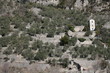 Culture d'oliviers - Provence - Oléicultue