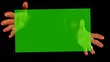 10+2 BONUS PLACEHOLDERS - HIT!