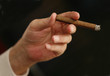 Hand holding cigar Hand holding cigar