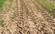 tractor trail