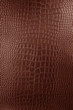 Brown Crocodile leather texture
