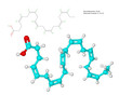 omega-3 fatty acid (DHA)