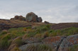 Great Zimbabwe