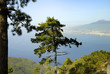Top of Monte Faito overlooking Naples Italy