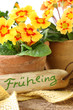 Der Frühling ist da!