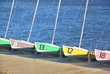 Sailing boats