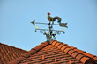 Wetterhahn