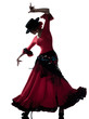 woman gipsy flamenco dancing dancer