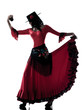 woman gipsy flamenco dancing dancer