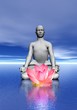 Meditation and waterlily