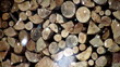Firewood and Winter