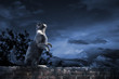 alley cat standing in the moonlight