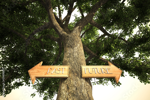 Illustration: environment past future tree sign environment past future tree sign