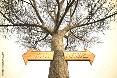 Illustration: environment past future tree sign environment past future tree sign