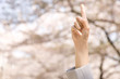 桜を指差すOLの手元　