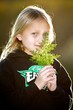 Fennel