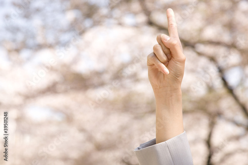 Photo: 桜を指差すOLの手元 桜を指差すOLの手元