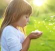 Summer wishes