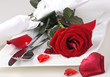 Romantic place setting with red rose for lovers