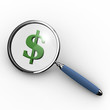 Magnifier