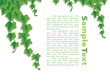 Template with ivy's sprouts