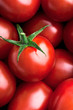 frische Tomaten