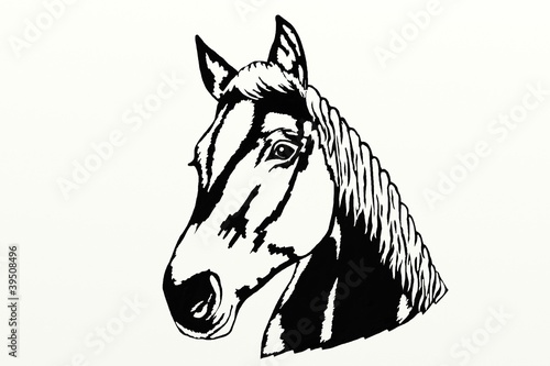 Illustration: pferdekopf pferdekopf