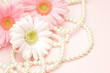 gerbera and pearl