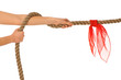 Foto: tug of war tug of war