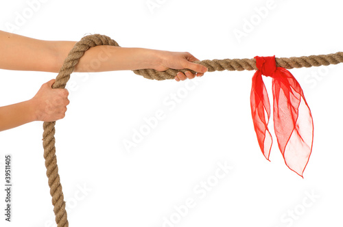 Photo: tug of war tug of war