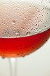 vino fresco