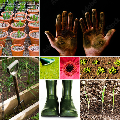 Photo: gardening collage gardening collage