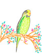 Cute budgerigar on tree branch, hand drawing illustration.