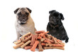 Two cute pugs behind dog treats