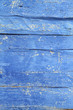 Foto: Holz in Cyan Holz in Cyan