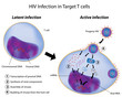 Latent and Active infection by HIV, eps8