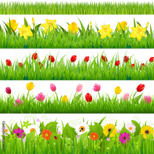 Vettoriale: Flower Borders Set Flower Borders Set
