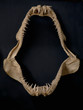 Dangerous teeth