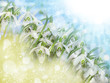 Glitzernder Hintergrund Frühling
