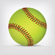 Vector: Baseball ball Baseball ball