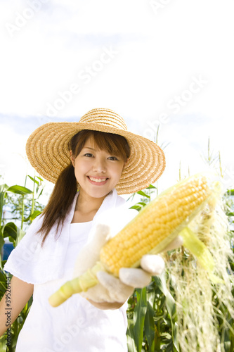 Photo: 畑で採れたとうもろこしを差し出す女性 畑で採れたとうもろこしを差し出す女性