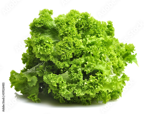 Photo: Mustard Green Leaves Mustard Green Leaves