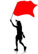 Revolution flag