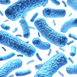 Bacterium and Bacteria
