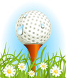 Golf ball on the grass