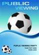 Fussball - Soccer - 46