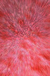 Time-travel abstract