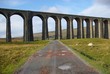 Ribblehead Viaduct