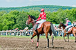 jockey on racing horse before the start