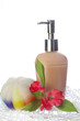 cleaning products of the body